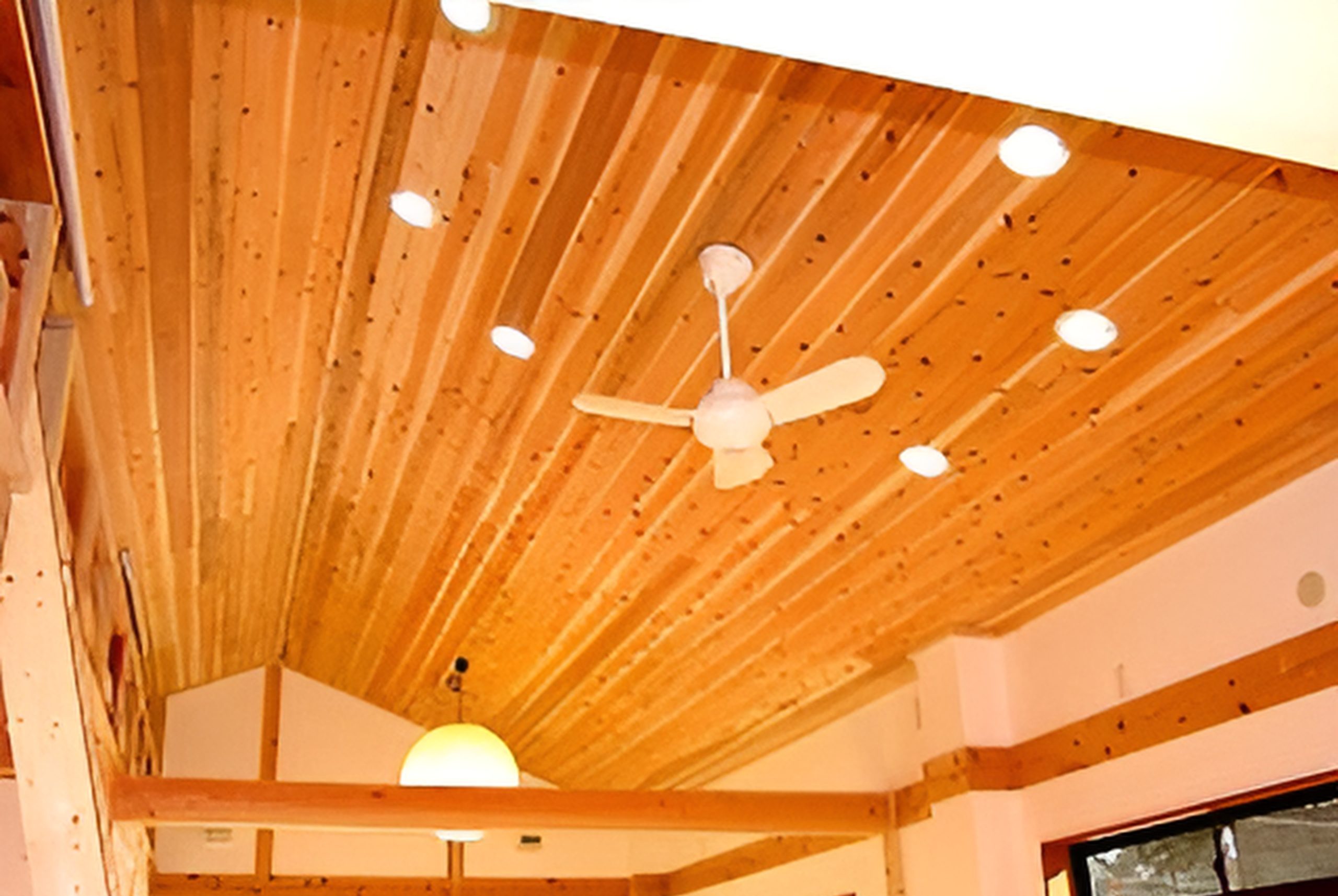 ファイル名不明_(40381)